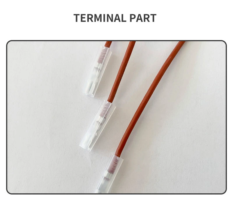 Customized Gas Cooker Ceramic Ignition Electrode Spark Plug Ignitor for Replacement