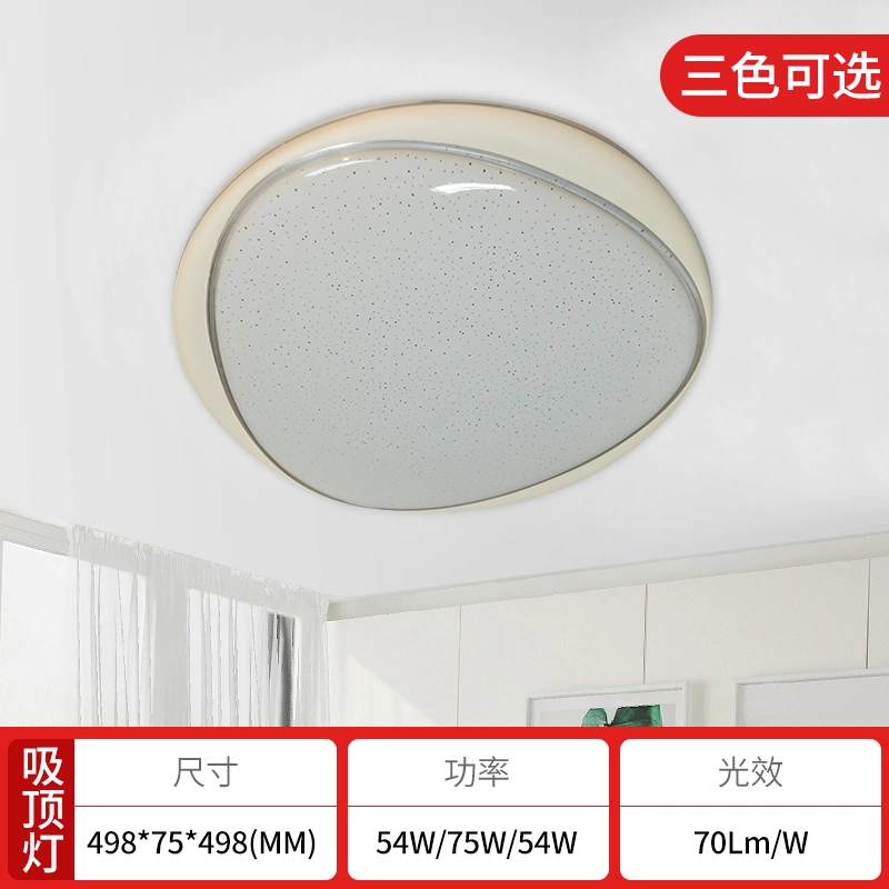 Indoor Remote Control Dimmable LED Ceiling Lamp