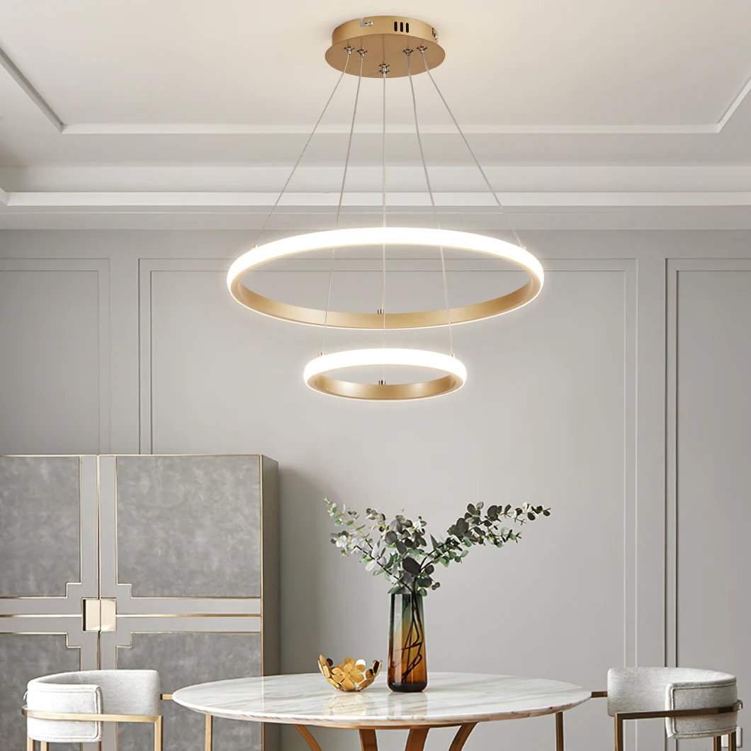 Luz LED LED Light Ceiling Lamp Modern Simple Design for Apartment Living Room