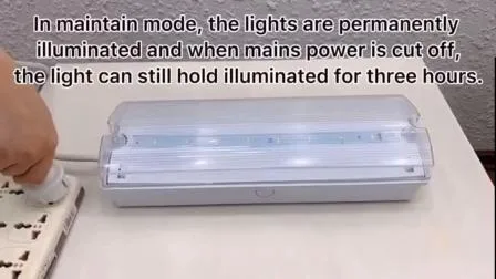 4.5W Éclairage de secours à LED de haute qualité avec le prix le plus bas d'usine